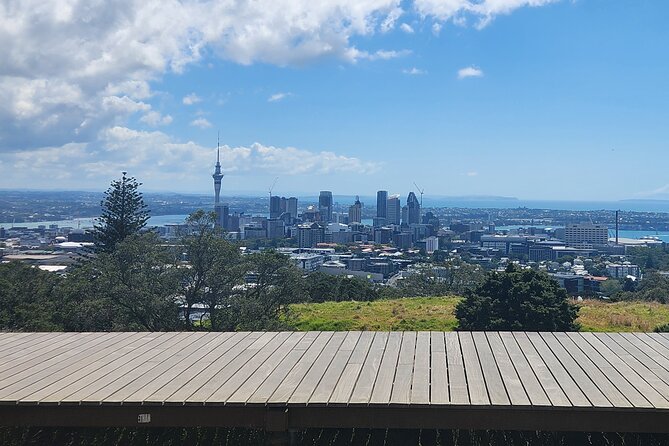 Private Auckland Best Top 5 Spots Half day Tour - Five useful things to know before booking