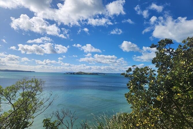 Private Auckland Best Top 5 Spots Half day Tour - Why the private format is worth considering