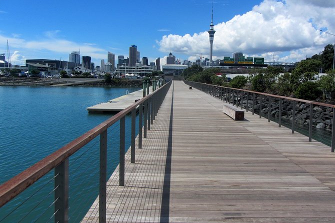Private Auckland City Tour Including Auckland Tour House Visit - What the private van adds to the experience