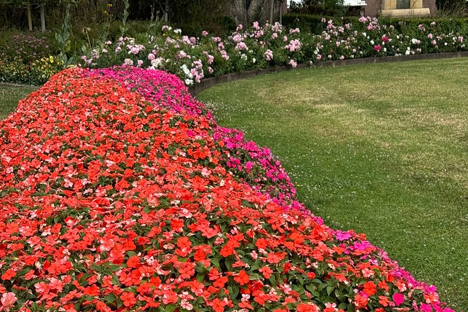 Private Auckland City Tour Including Auckland Tour House Visit - Is $465.43 good value for your group?