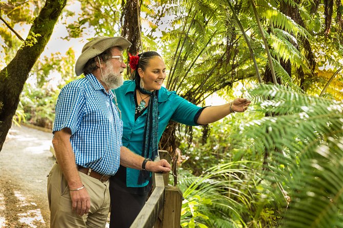Private Auckland Half Day Tour - Auckland Domain and the museum from outside