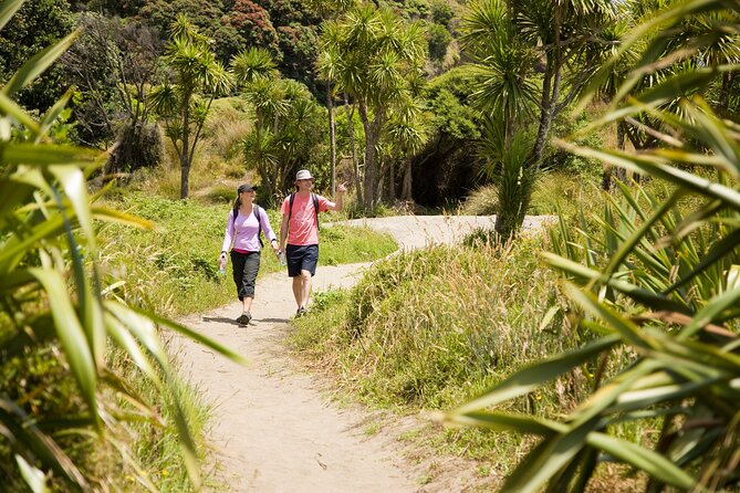 Private Auckland Luxury Tour - Karekare Falls and a possible quick swim
