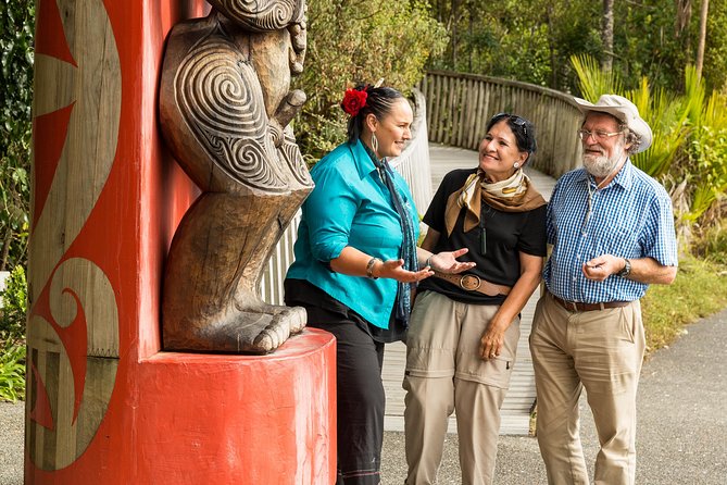 Private Auckland Maori Luxury Tour - Ancient volcanoes and the donut-shaped lava