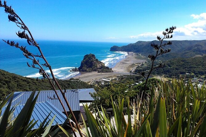 Private Auckland Sightseeing - Full Day/Half Day Hidden Gems Tour - Key points to know before booking