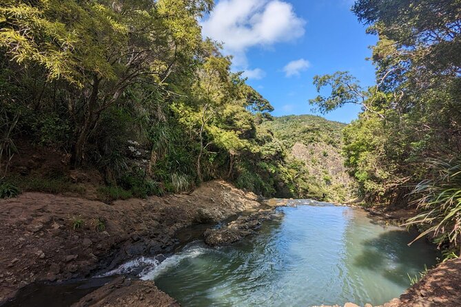 Private Auckland Sightseeing - Full Day/Half Day Hidden Gems Tour - Auckland from volcanic summits and harbour lookouts