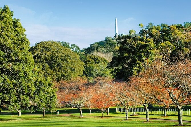Private Auckland Sightseeing - Full Day/Half Day Hidden Gems Tour - The Waitākere Ranges without a packed group