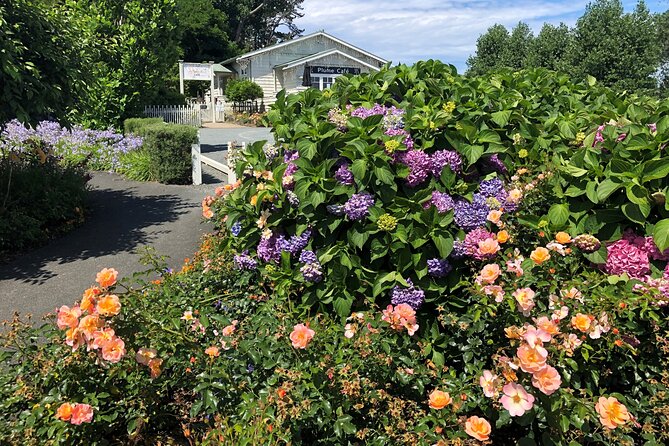 Private Auckland Wine & Dine Matakana Country & Cuisine - Who should book this Matakana day?