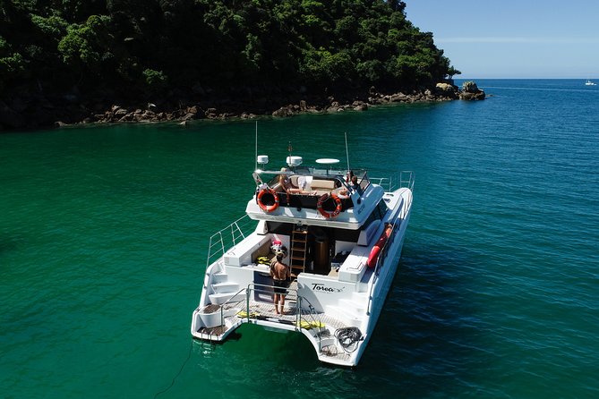 Private boat charter in Abel Tasman National Park - Tonga Island Marine Reserve and its fur seals