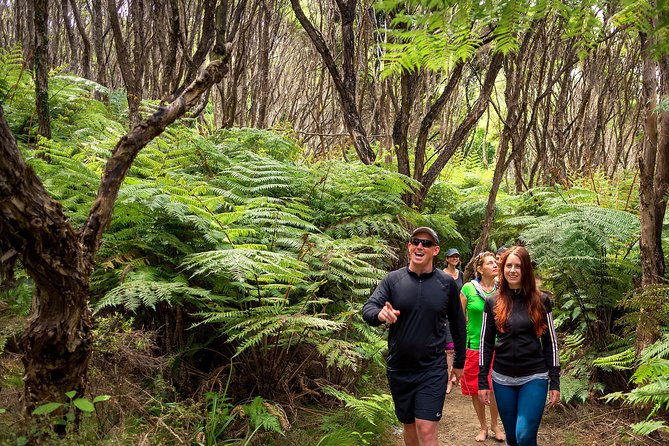 Private boat charter in Abel Tasman National Park - The Abel Tasman Coast Track by foot