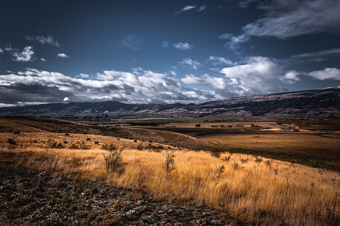 Private Central Otago Wine tasting Tour with Gourmet Lunch. - A second Gibbston tasting and local cheese