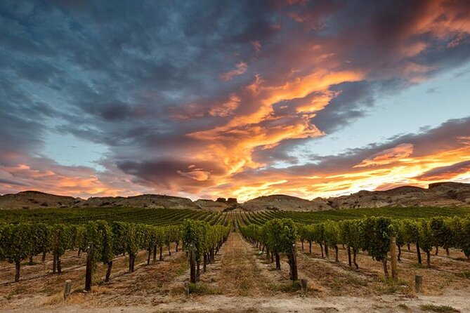 Private Central Otago Wine tasting Tour with Gourmet Lunch. - Arrowtown finishes the day on foot