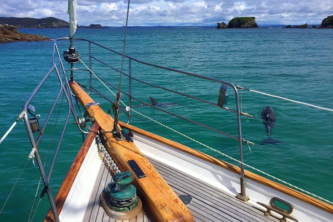 Private Charter Bay of Islands - Why a private charter changes the Bay of Islands