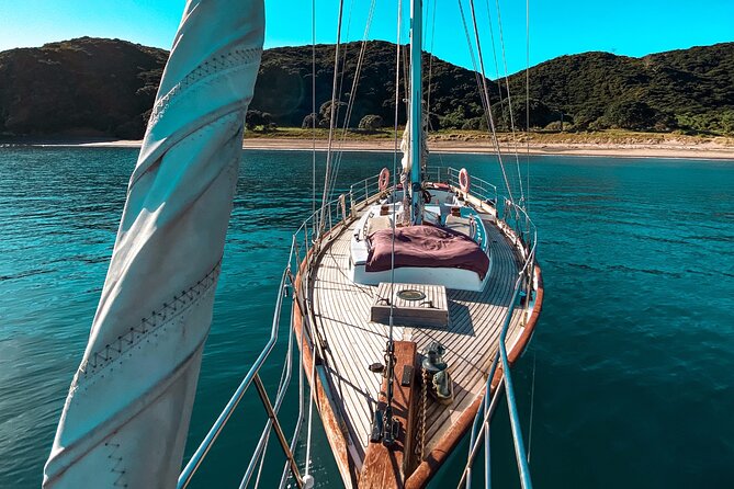 Private Charter Bay of Islands - Starting at Russell Wharf at 10:00 am