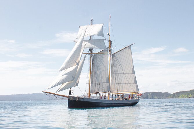 Private Charter Bay of Islands - The cancellation risk