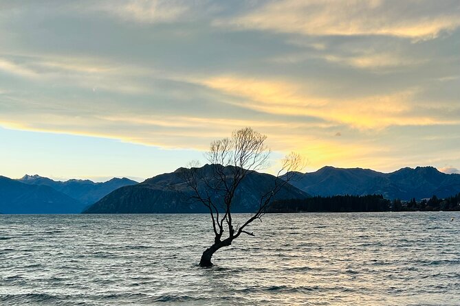 Private Driver Hire – Full-Day Touring-Auckland/Rotorua/Hamilton - A private road day built around your priorities
