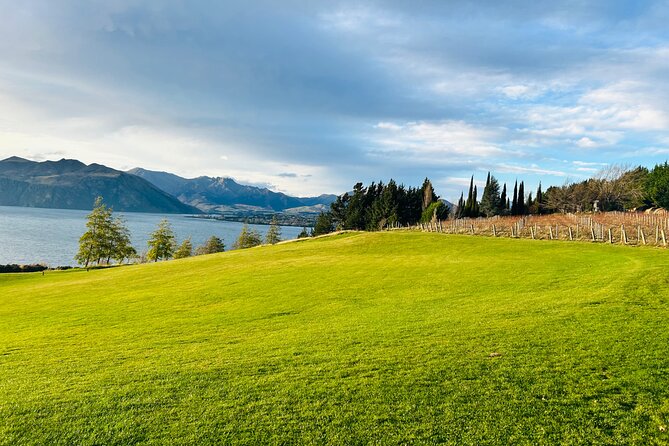 Private Driver Hire – Full-Day Touring-Auckland/Rotorua/Hamilton - Auckland departures and airport connections
