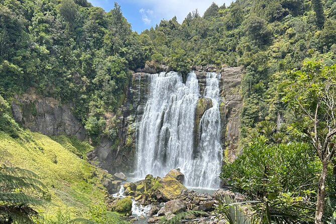 Private Driver Hire – Full-Day Touring-Auckland/Rotorua/Hamilton - Rotorua: geothermal sights and an easy touring base