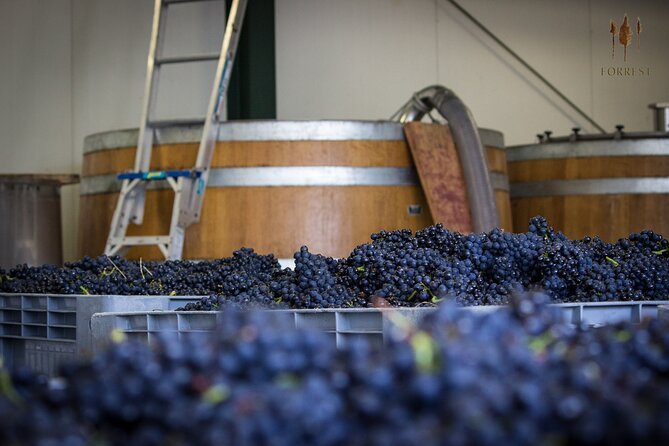Private Driving Wine Tour (full day) in the Marlborough Region - Why a private Marlborough wine day works so well
