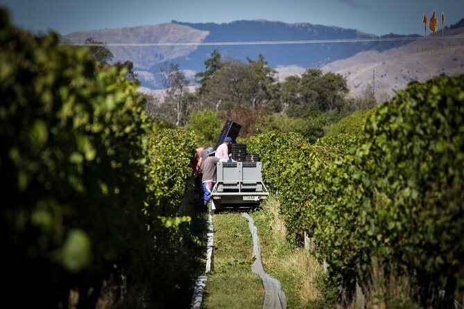 Private Driving Wine Tour (full day) in the Marlborough Region - Who will enjoy this tour most