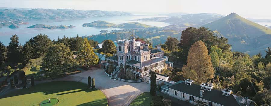 Private Dunedin City Highlights and Otago Peninsula Day Tour - Key points at a glance
