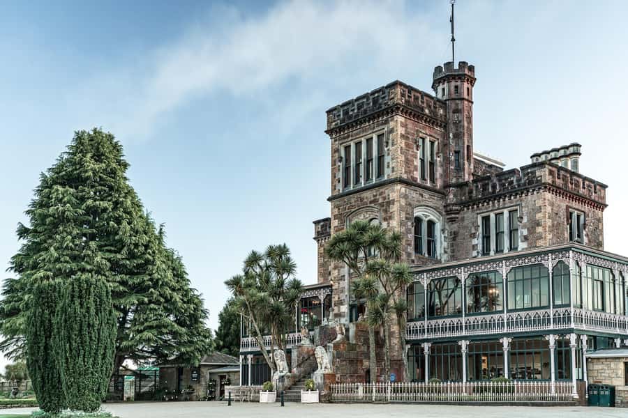 Private Dunedin City Highlights and Otago Peninsula Day Tour - Why this private Dunedin day works