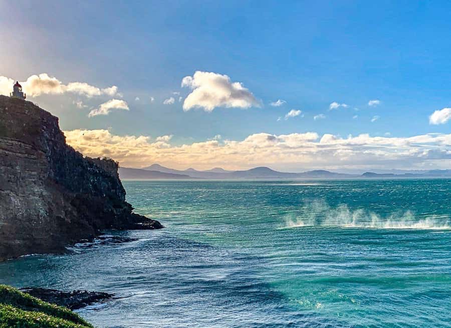 Private Dunedin City Highlights and Otago Peninsula Day Tour - Larnach Castle: gardens included, rooms extra
