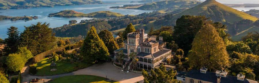 Private Dunedin City Highlights and Otago Peninsula Day Tour - Albatross country at the Royal Albatross Centre