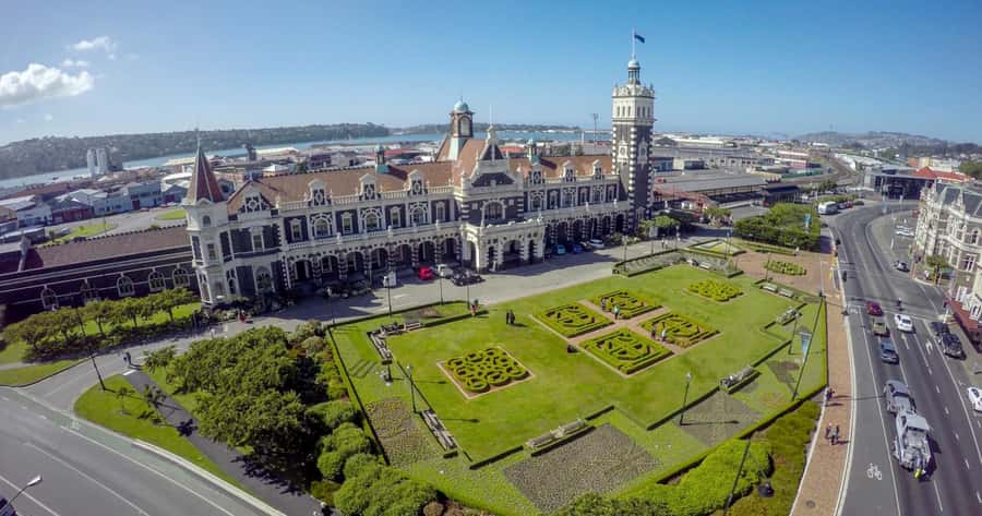 Private Dunedin City Highlights and Otago Peninsula Day Tour - What $585 means for a group of four
