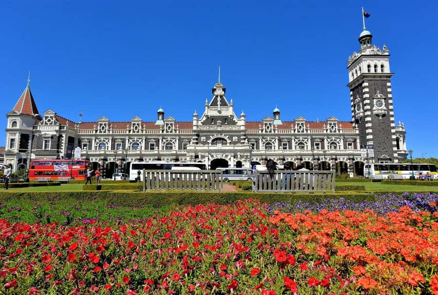 Private Dunedin City Highlights and Otago Peninsula Day Tour - Timing, pickup, and the cruise connection