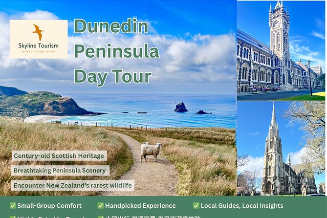 Private Dunedin & Otago Peninsula Day Tour Up to 4 - Signal Hill gives you a fast orientation