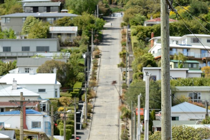 Private Dunedin & Otago Peninsula Day Tour Up to 4 - Larnach Castle is the main extended stop