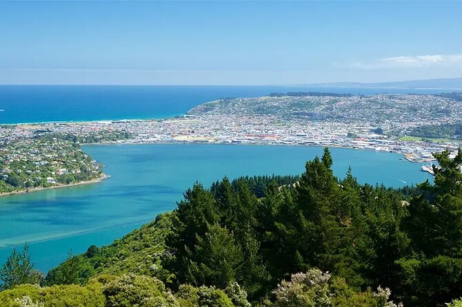 Private Dunedin & Otago Peninsula Day Tour Up to 4 - Baldwin Street turns city planning into a photo stop