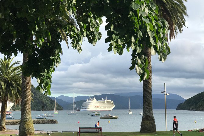 Private Excursion: Scenic and Seascape Delights from Picton - The Marlborough Sounds finale