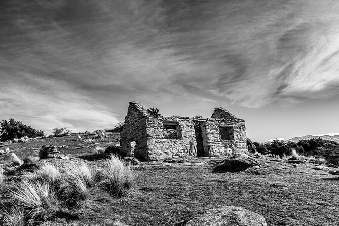 Private Full Day Photo Tour of Queenstown | Skippers | Glenorchy | Wanaka |Otago - Wanaka finishes with the famous tree