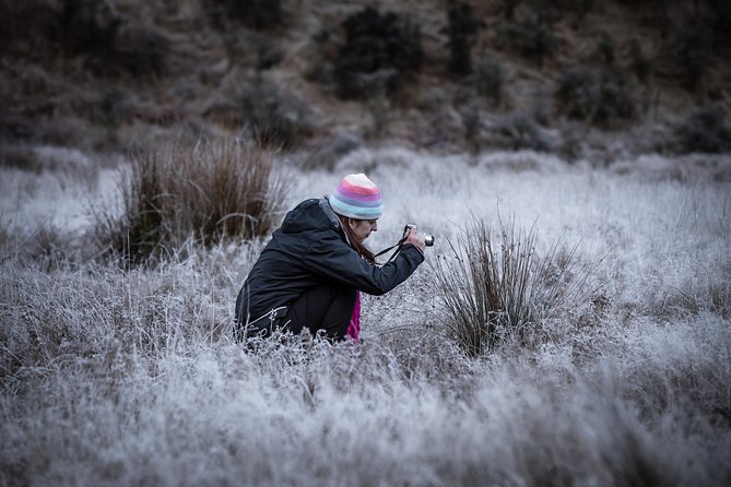 Private Half Day Photography Tour of Queenstown | Skippers | Glenorchy - Comfort, food, and the practical rhythm