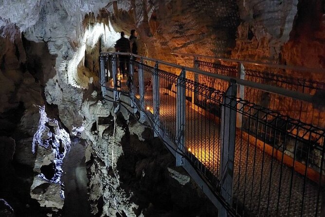 Private Hobbiton & Blue Springs Day Trip from Auckland - A private ride with a personal touch