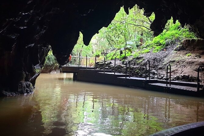 Private Hobbiton & Blue Springs Day Trip from Auckland - What kind of group should book it?