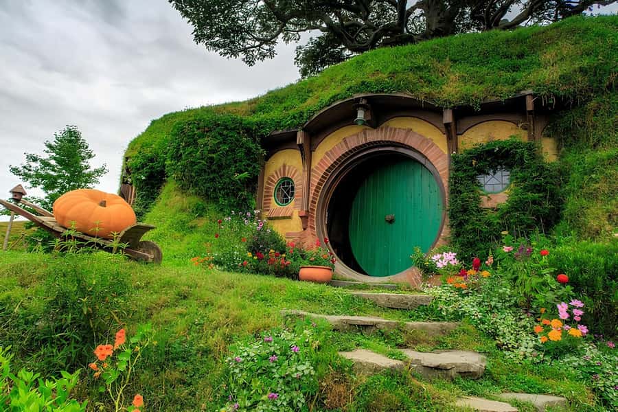 Private Hobbiton & BlueSprings & Redwood forest fromAuckland - Key points to know before booking