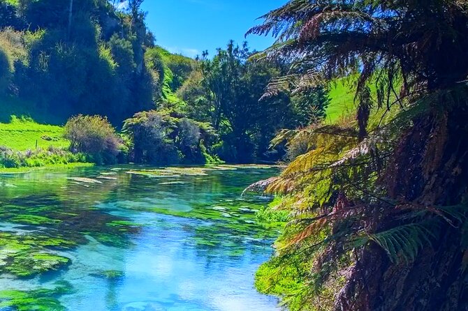 Private Hobbiton, Waitomo Caves, Blue Spring & Hamilton Transfer - Timing, children, and practical details
