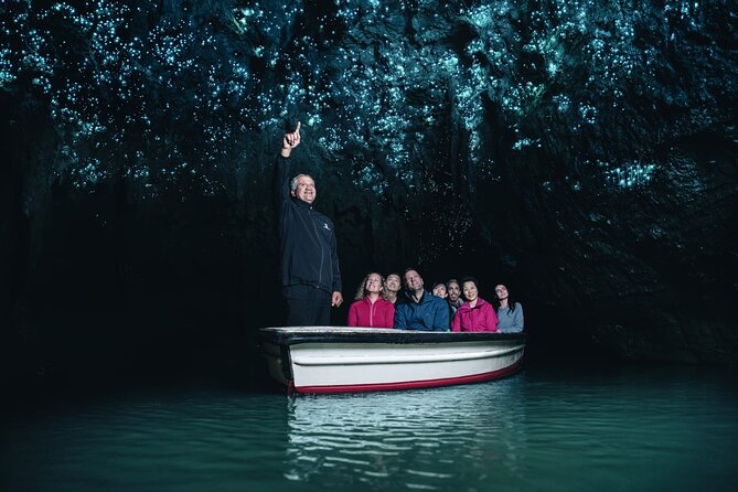 Private Hobbiton & Waitomo Caves Transfer from Auckland - The morning pickup and the ride south