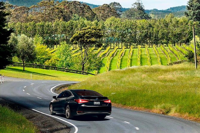 Private Luxury Airport Transfers in Auckland – Sedans & Vans - The arrival lounge meeting point