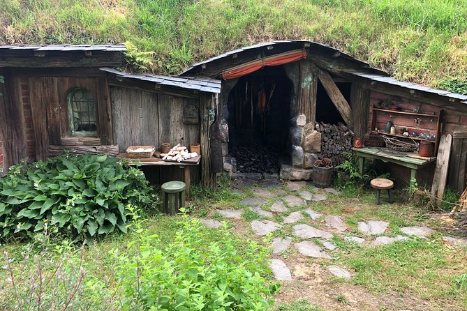 Private Luxury Tour to Hobbiton Movie Set & Waitimo Glowworm Cave - Beneath Waitomo’s glowing ceiling
