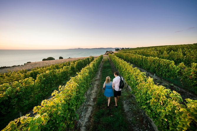 Private Marlborough Winery Tour - Key points at a glance