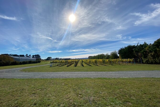 Private Martinborough Wine Tour for Wine Enthusiasts - Escarpment Cellar Door: a compact look at winery and vineyard
