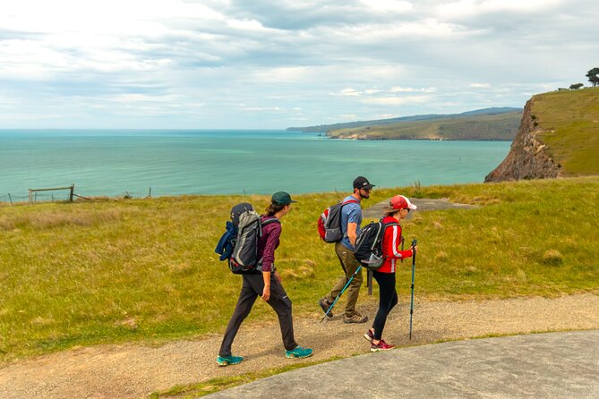 Private Mt Cook Day Tour From Christchurch via Lake Tekapo - A private guide can shape the day