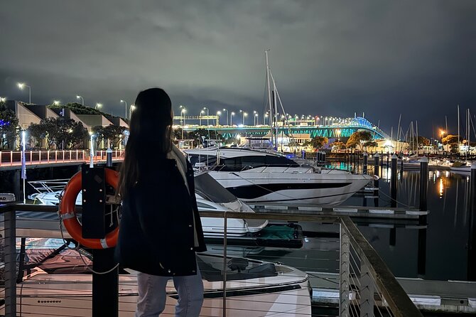 Private Night Tour of Auckland, Sky Tower Bar, Bridge & Museum - The Harbour Bridge after dark