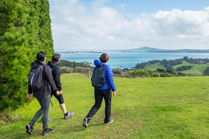 Private Personalised Tour in Waiheke Island - Beaches, wine, and slower island time