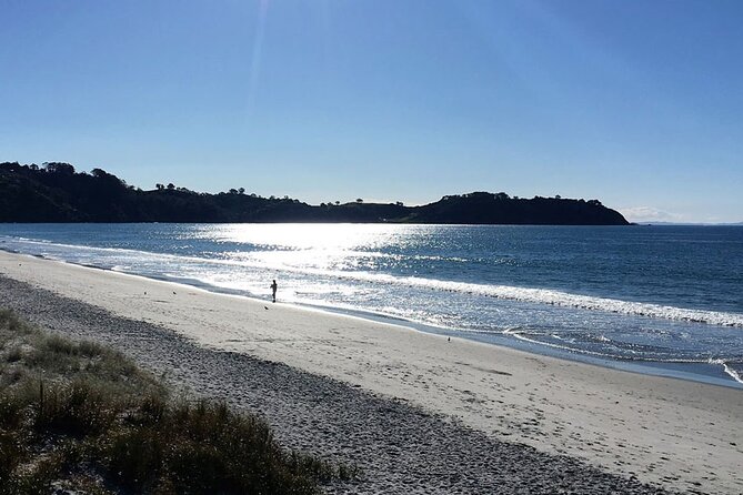 Private Personalised Tour in Waiheke Island - Lunch and the real value of $527.49