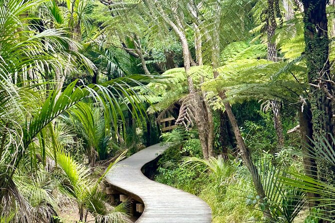 Private Piha Beach, Rainforest Adventure & Mt. Eden with Guide - A wild west-coast start from Auckland
