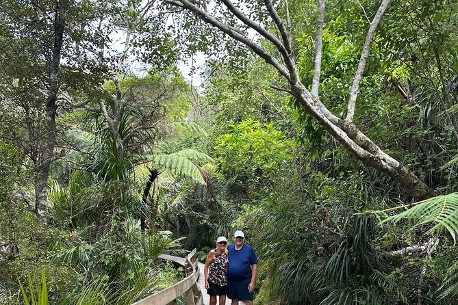 Private Piha Beach, Rainforest Adventure & Mt. Eden with Guide - What the private format really adds